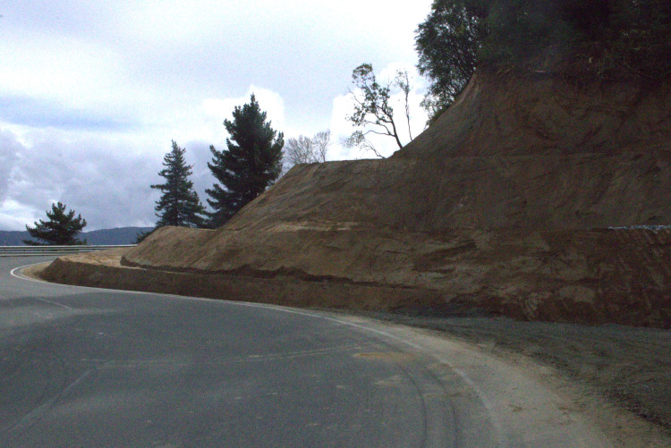 A winding road curves left alongside a steep, freshly cut earthen bank. Tall pine trees line the road, under a cloudy, overcast sky.